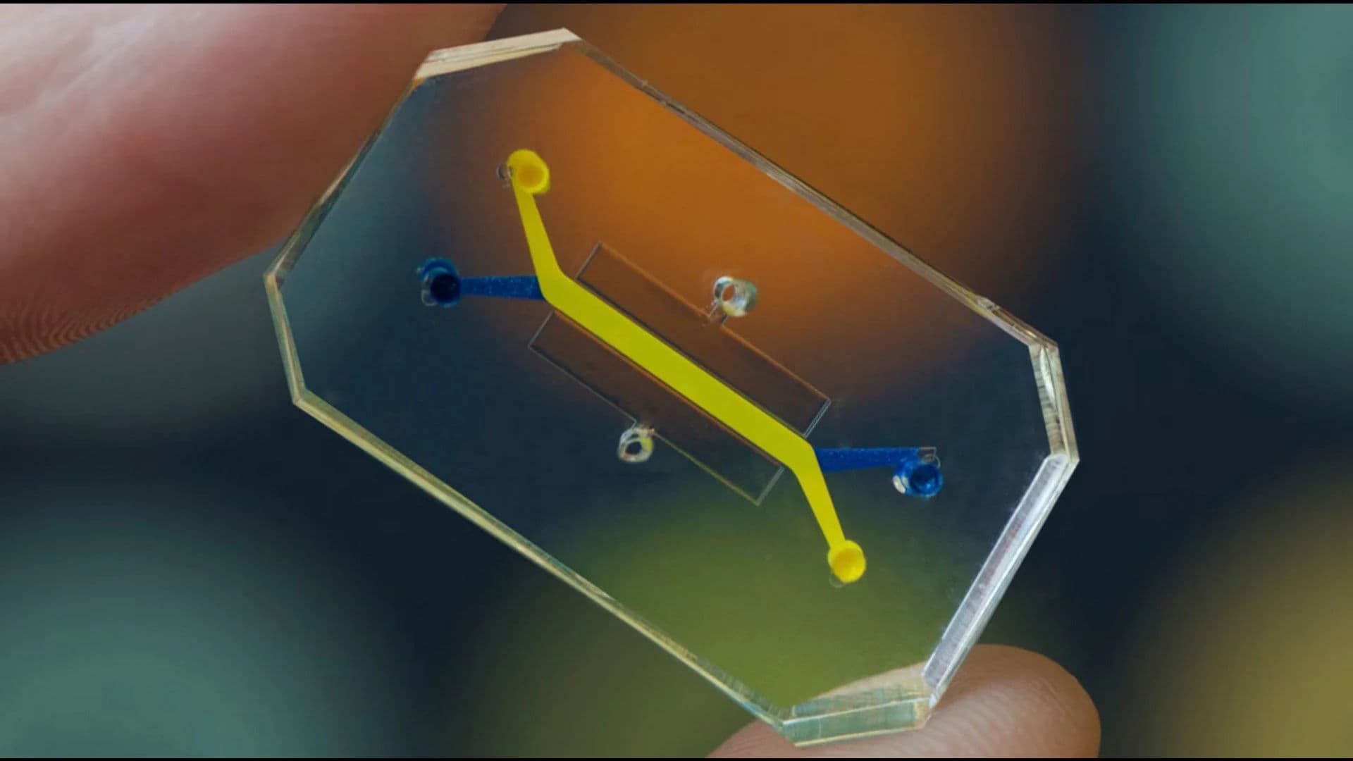 Organ-on-a-Chip: Toward Ending Animal Testing in Research