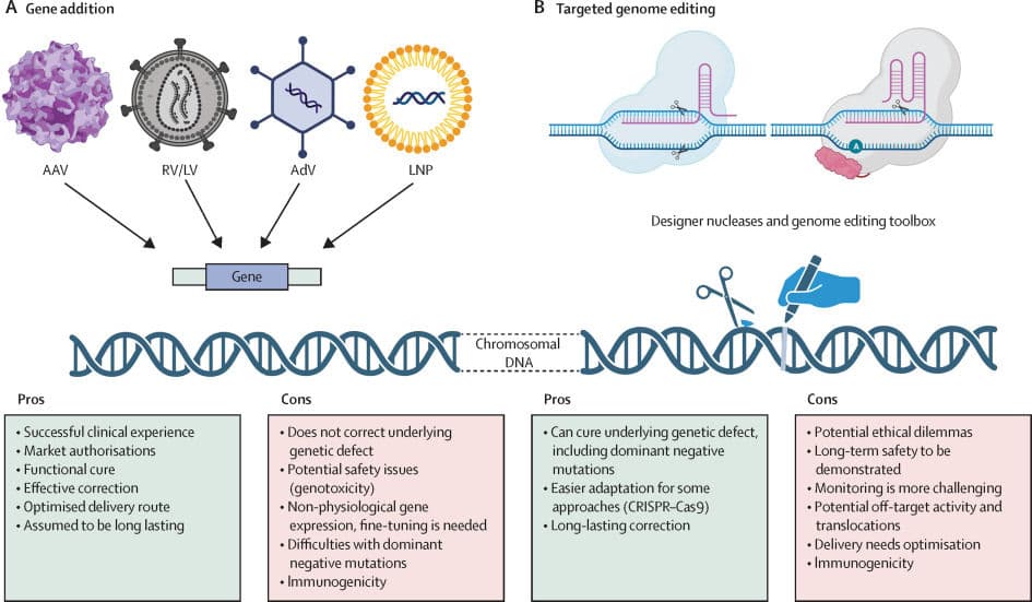 Patient-Specific Base Editing: The Future of Precision Medicine